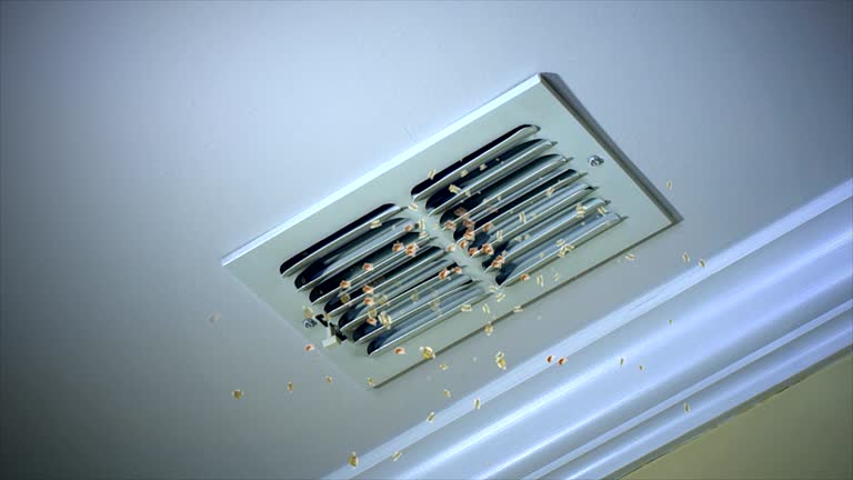 Best Air Vent Cleaning Services  in Casey, IL